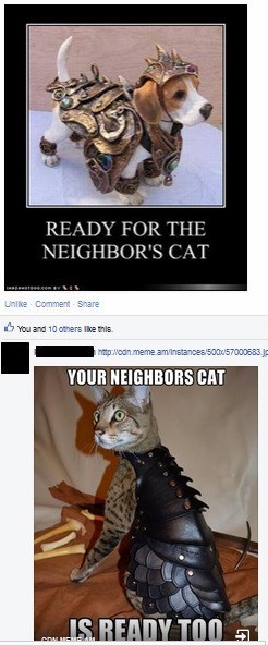 dogs,pets,nerdgasm,armor,Cats,failbook,g rated