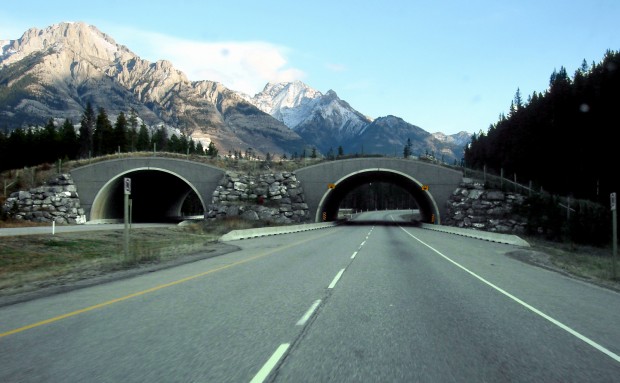 Banff National Park, Alberta, Canada amazing Bridges