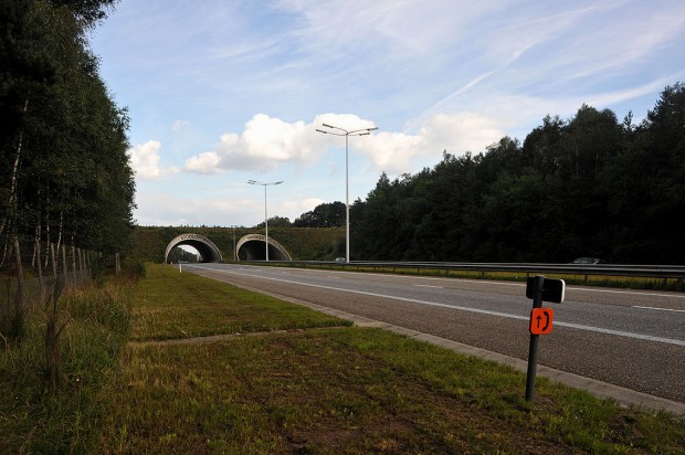 E314, Belgium amazing Bridges