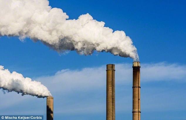 Dr Stamets claims that by growing more mycelium, climate change could be brought under control, because the organism can absorb vast amounts of carbon dioxide. A stock image of smoke stacks is shown