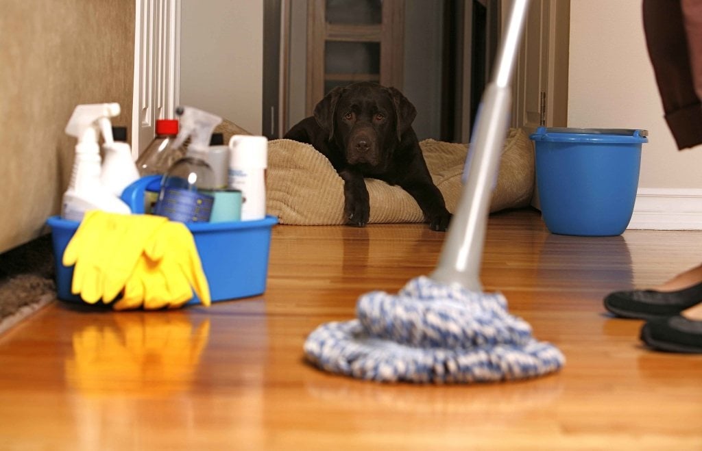 Cleaning-floor