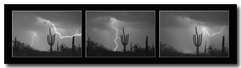 Southwest Saguaro Cactus Desert Storm Panorama BW Art 