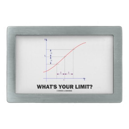 What's Your Limit? Limit Function Geek Humor Belt Buckle