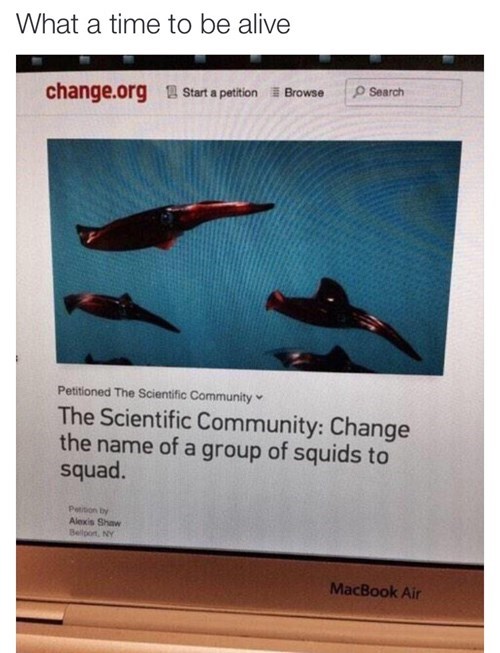 science calls for squids to be squad