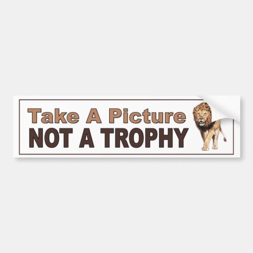 Anti Canned Hunting. Take A Picture, Not A Trophy Car Bumper Sticker