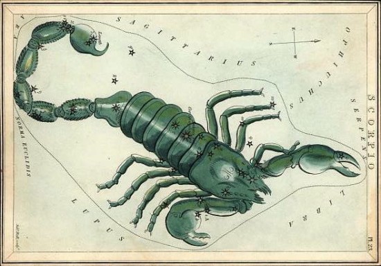 Scorpius, via Constellation of Words