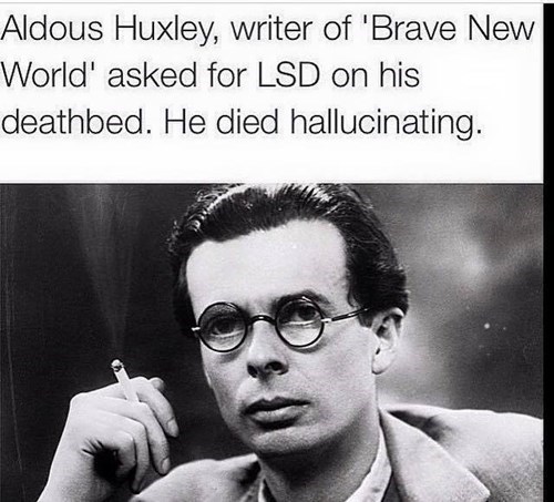 aldous huxley takes LSD on his death bed