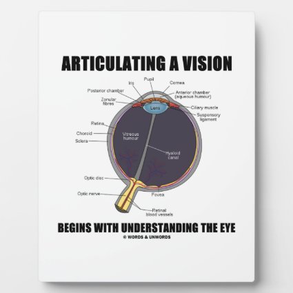 Articulating A Vision Begins Understanding The Eye Plaques