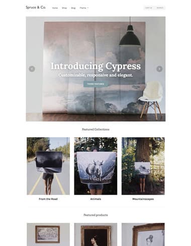 8-Cypress-Art-shopify-theme
