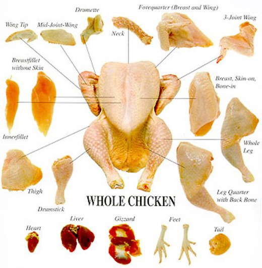 Chicken_Cuts_Chart-520