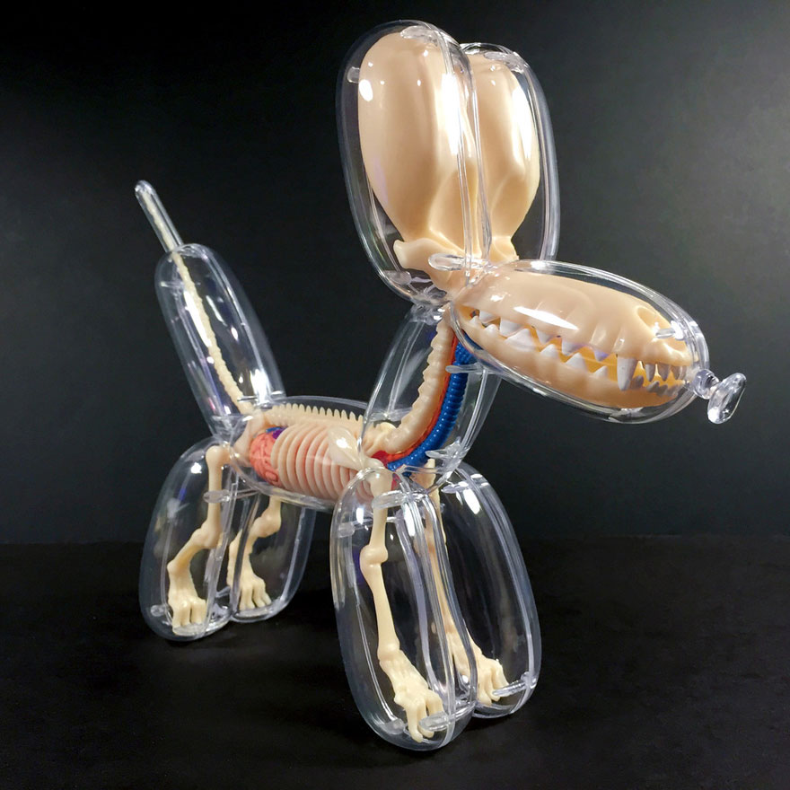 anatomical-balloons-dog-bear-jason-freeny-2