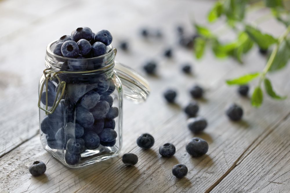 Blueberry antioxidant organic superfood in a jar concept for hea