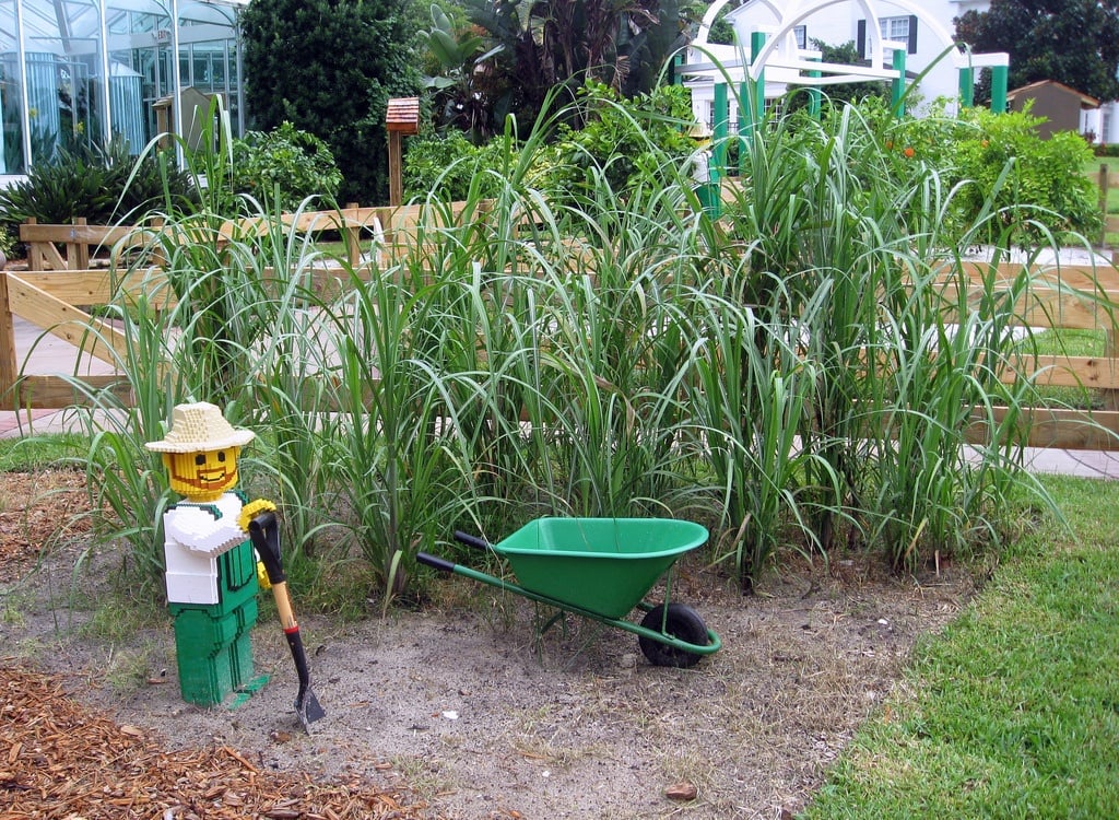 Lego gardener