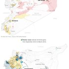 What Russia Accomplished in Syria [1443x2816]
