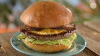 Teriyaki Burger from Oasis Bar and Grill