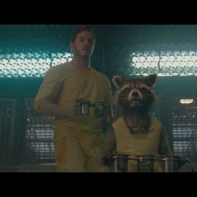 Guardians of The Galaxy - Rocket Funny Trolling