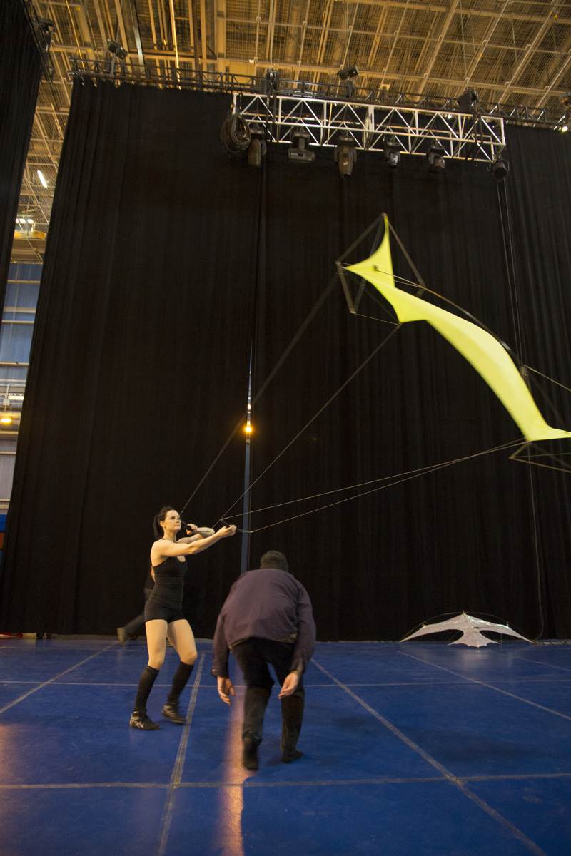 Cirque du Soleil: Toruk - The First Flight