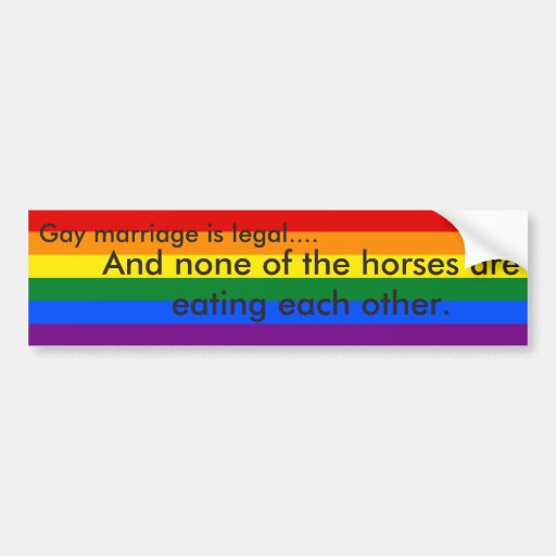 None of the Horses are Eating Each Other Car Bumper Sticker