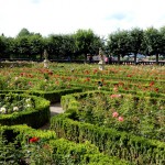 Fotos de Bamberg, Jardin de las Rosas