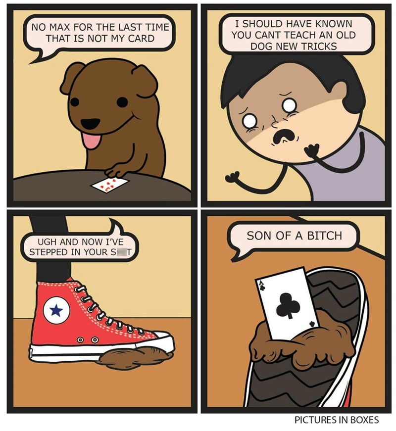 dogs magic web comics Maybe You Should Have Taught Your Dog to Believe in Himself Sooner