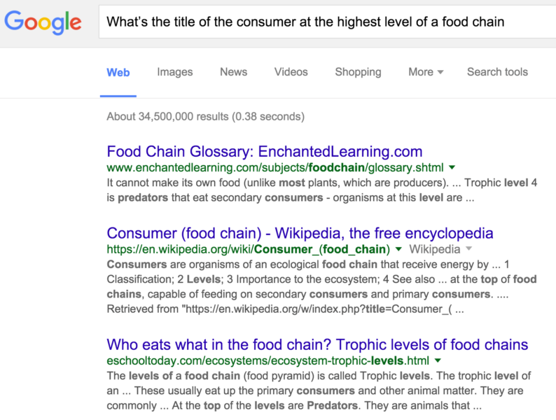 food chain consumer