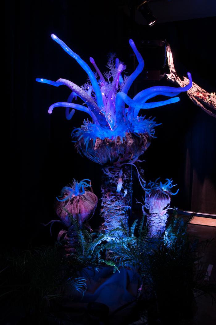 Bioluminescent Flora Details Coming to Pandora – The World of AVATAR at Disney's Animal Kingdom