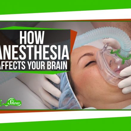 What Does Anesthesia Do to Your Brain?