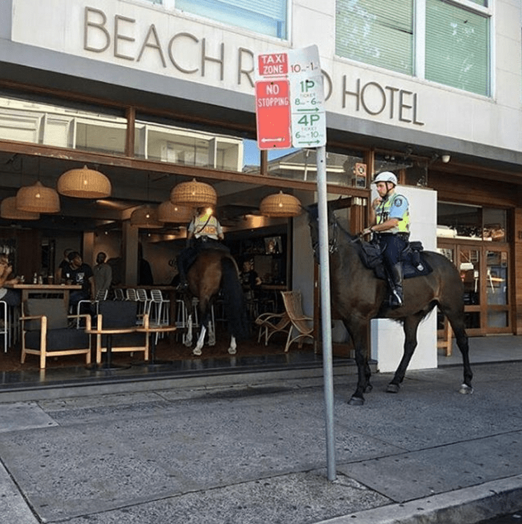 funny animal image a policeman and horse walk into a bar IRL