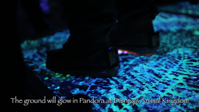 'Glowing' Ground Coming to Pandora – The World of AVATAR at Disney's Animal Kingdom