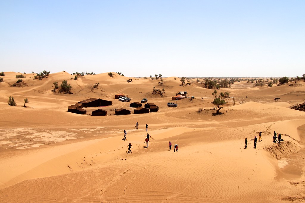 Desert tourism - camp, four wheel drive vehicles, camels and geography students