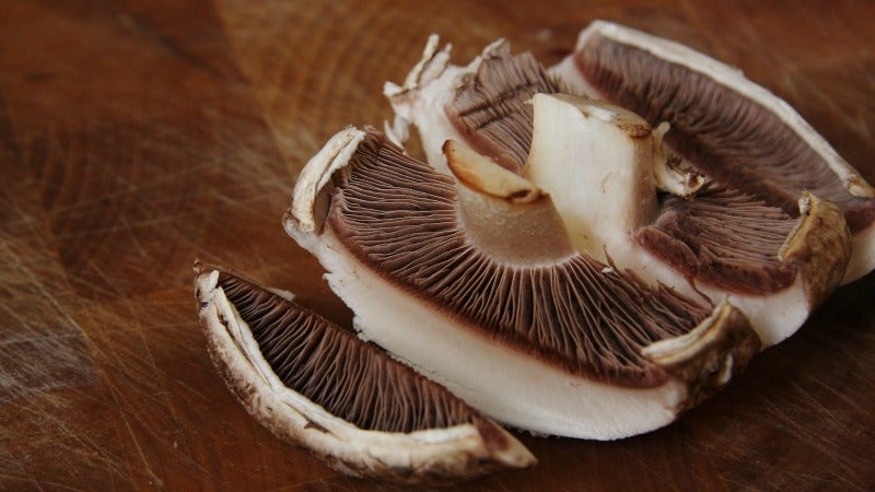 Make Mushroom "Jerky" For an Umami-Packed Snack Anyone Can Enjoy