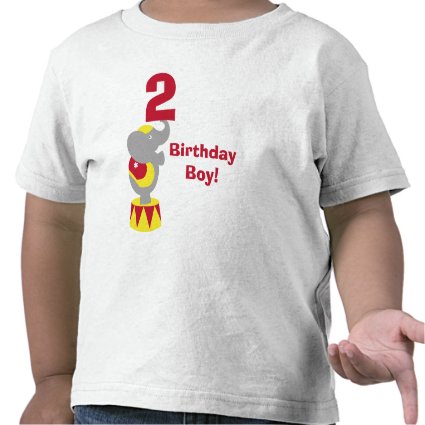 2nd Birthday Circus Elephant T-Shirt