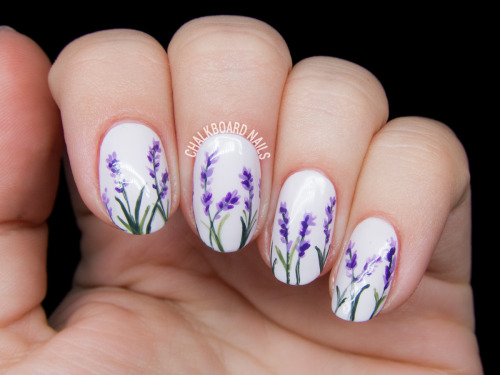 Delicate Lavender Blossoms