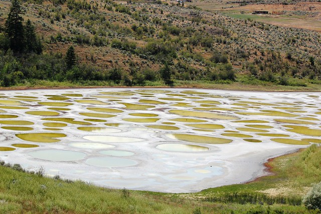 Osoyoos Spotted Lake