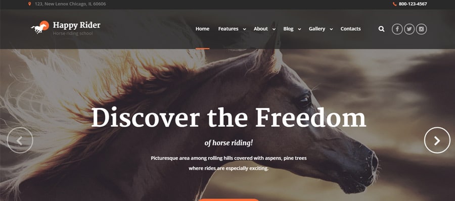 Happy-Rider-- eCommerce WordPress Website