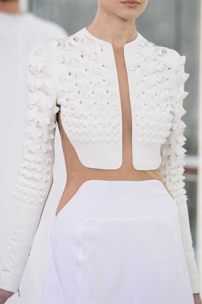 Stephane Rolland Spring 2015 Couture Collection ~ details
