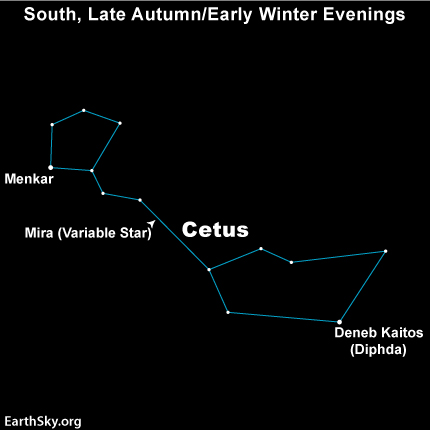 You should be able to spot Mira's constellation, Cetus, during the evening hours. Mira won't be visible, though. Its next brightness peak will come in May, 2015.