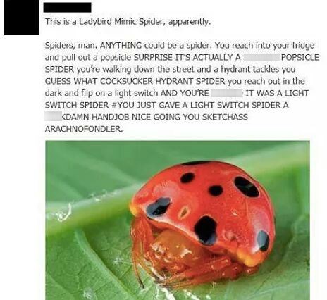 funny-facebook-fail-pic-spider