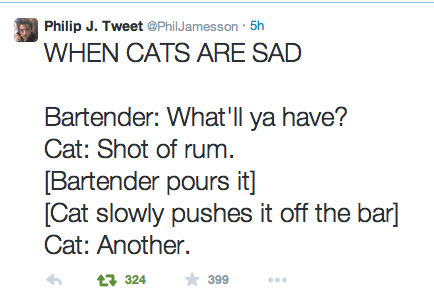 funny-twitter-pic-cat-bar-sad