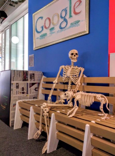 Human & Dog Skeletons At Google