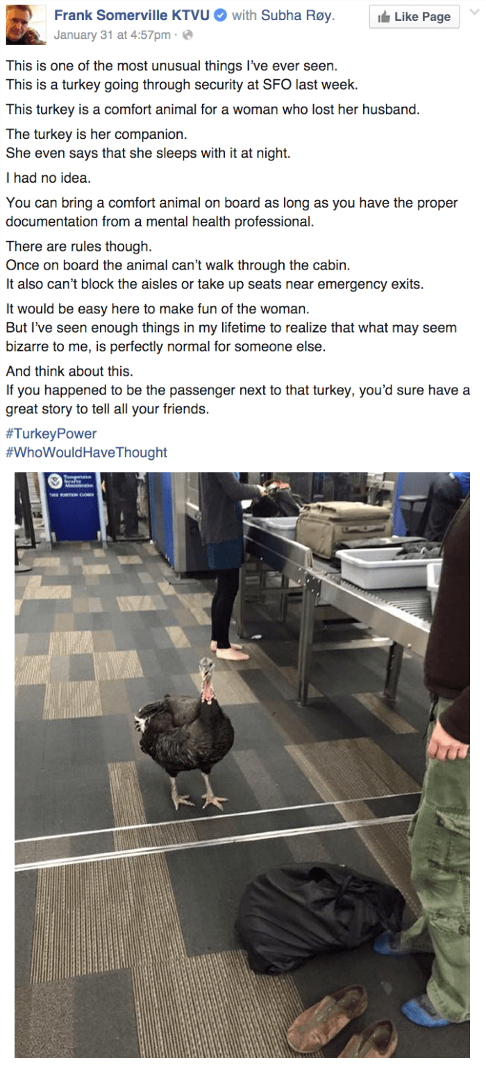 funny facebook image traveling with a comfort turkey