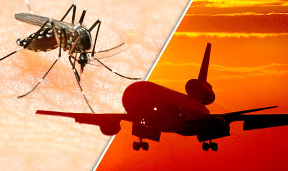 REVEALED: What you NEED to know about the Zika virus before travelling