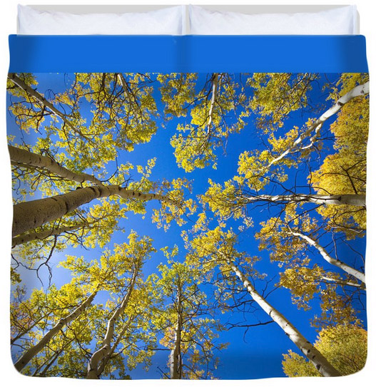 Golden View Looking Up King (104" x 88") Duvet Cove