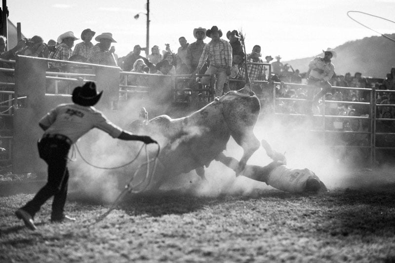 Cowboy conquers the bull at the Rodeo Tierra Caliente at Newburgh Armory. Katarina Premfors/Photographers for Hope
