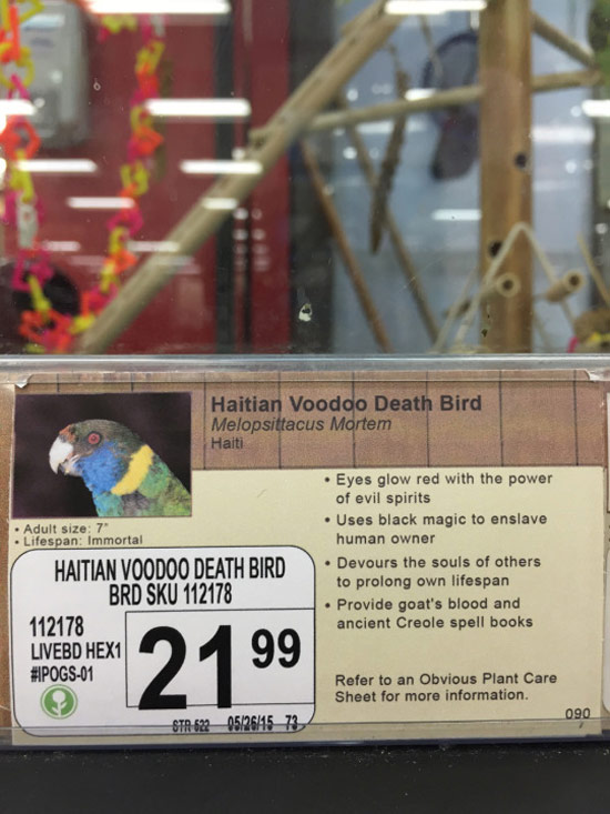 Haitian Voodoo Death Bird