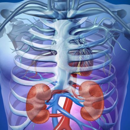 Common Kidney Tests predicts risk for cardiovascular disease