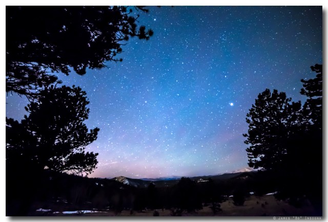Starry Rocky Mountain Forest Night