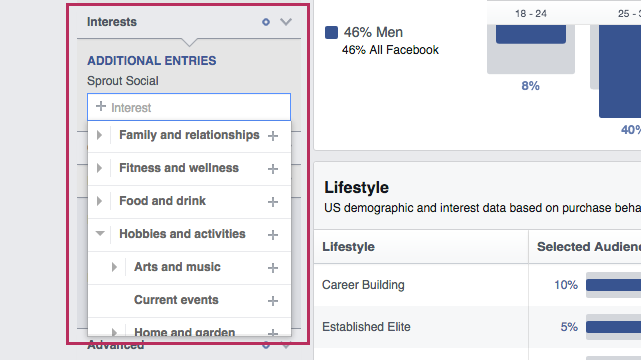 facebook audience insights example