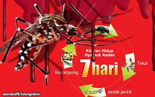 Shah Alam Gempur Sarang Aedes