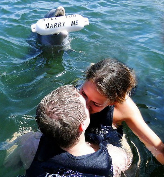 All The Effort The Dolphin Put In For This Proposal, And She Still Goes For The Other Guy